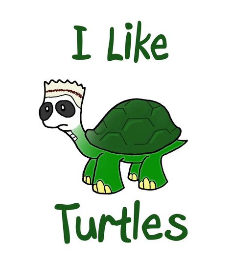 I like turtles I Like Turtles, Kids Videos, Exotic Pets, Videos Funny, Turtles, Mario Characters, Funny, Animals, Fictional Characters