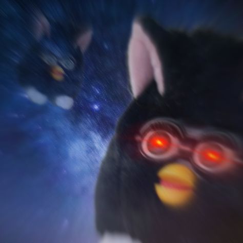 Cursed Furby Images, Furby Cursed, Furby Art, Cursed Furby Aesthetic, Cursed Furby, Life Is A Lie, Long Furby, Furby Boom, Custom Eyes