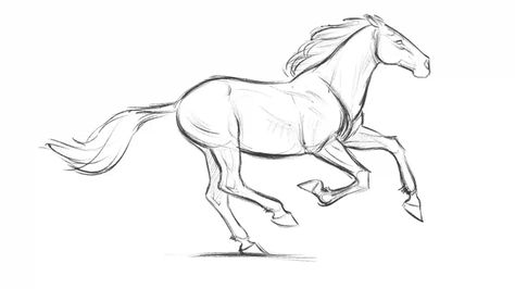 Aaron Blaise, Horse Animation, Horse Art Drawing, Horse Sketch, Running Horse, Animation Sketches, Hur Man Målar, Horse Drawing, Horse Drawings