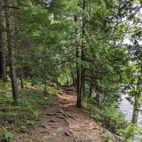 My trip to Silent Lake Provincial Park, Ontario. July 2024. #kawarthas #ontario #summer #lake #canada #canadian #travel #travelphotography #trail #provincialpark #blog #nofilter #wilderness #hiking Ontario Aesthetic, Canada Wilderness, Ontario Hiking, Ontario Summer, Canadian Forest, Canadian Wilderness, Canadian Travel, Hiking Aesthetic, North Country