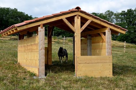 Mini Horse Barn, Pasture Shelter, Horse Shelters, Paddock Trail, Horse Shed, Horse Farm Ideas, Horse Paddock, Horse Barn Ideas Stables, Small Barns