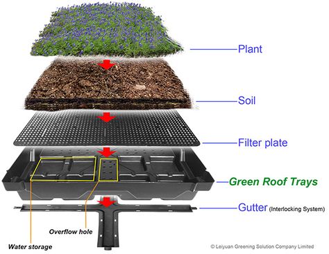 Green Roofs- what is the working principle of Green Roof Trays? Green Roof Planting, Roof Plants, Green Roof Design, Green Roof Garden, Green Roof House, Green Roof System, Grass Roof, Roof Garden Design, Landscaping Flowers