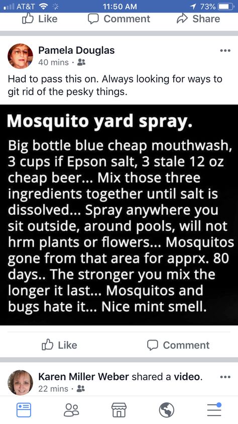 Mosquito Yard Spray, Essential Oil Bug Repellent, Homemade Bug Repellent, Repellent Diy, Diy Bug Repellent, Mosquito Repellent Candle, Diy Mosquito Repellent, Bug Spray Recipe, Mosquito Spray