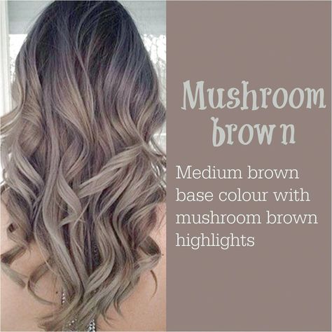 Hair Color 2017, Mushroom Hair, Mushroom Brown, Brown Hair Balayage, Ombré Hair, Winter Hair Color, Brown Highlights, Hair Color And Cut, New Hair Colors