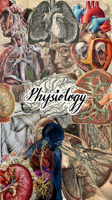 Physiology Aesthetic, Notes Cover Page, Physiology Notes, Book Cover Design Template, Notes Cover, College Vision Board, Medical Student Motivation, Medical Wallpaper, Human Body Anatomy