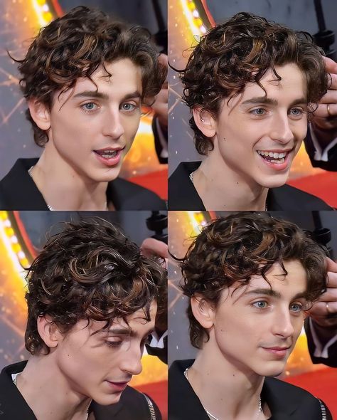 Timmy Chalamet, Blonde Hair Boy, Timmy T, Short Curly Haircuts, Boys With Curly Hair, Mens Cuts, The Perfect Guy, Curly Hair Men, Boys Haircuts