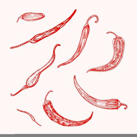 150,000+ Chili Pepper Tattoos Stock Photos, Pictures & Royalty-Free Images - iStock Red Chili Tattoo Minimal, Chilly Tattoo, Chilli Pepper Tattoo, Pepper Tattoos, Tiny Chili Pepper Tattoo, Red Chilli Pepper Tattoo, Spicy Pepper Tattoo, Fine Line Chili Pepper Tattoo, Chili Illustration