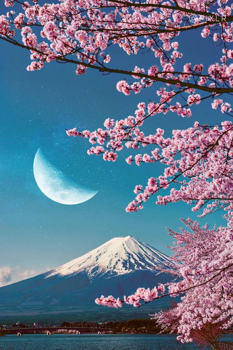 surreal edits | surrealism | pixlr edits | sakura | cherry blossom | fuji | japan | japan edits | pixlr design | hanami | travel japan Surreal Edits, Fuji Japan, Travel Japan, Sakura Cherry Blossom, Mt Fuji, Japan Travel, Photo Editor, Cherry Blossom, Surrealism