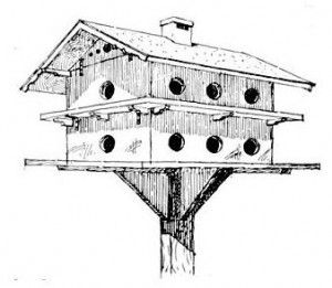 Free Bird House Plans, Martin House Plans, Purple Martin House Plans, Purple Martin Birdhouse, Martin Bird House, Martin Bird, Birdhouse Plans, Bird House Plans Free, Purple Martin House