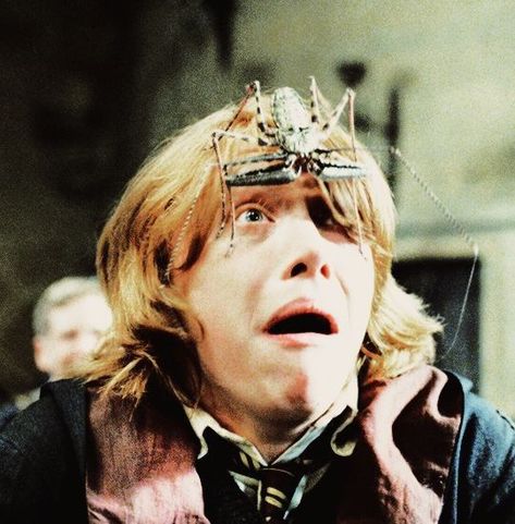 (tiene una foto de Herms porque sí 😂) bueno, como dice el título, su… #fanfic # Fanfic # amreading # books # wattpad The Goblet Of Fire, Goblet Of Fire, Funny Picture, Ron Weasley, Harry Potter Funny, Harry Potter, Funny