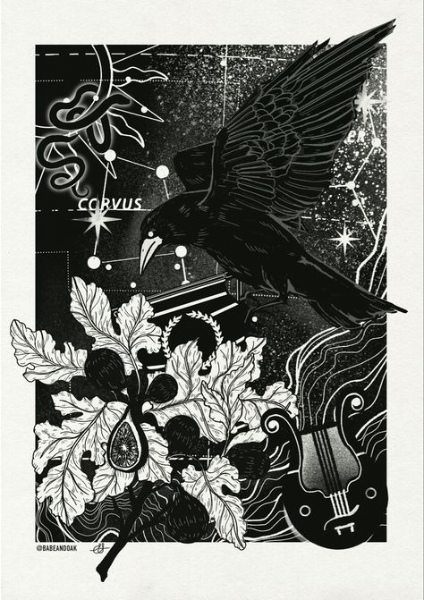 Illustration of the constellation Corvus & Crater which was made on the myth where Apollo sent the crow Corvus to fetch water but tempted by figs, he delayed, blaming a snake instead. Apollo saw through this & punished him, immortalizing them in the stars #inktober #crow #inkdrawing #constellation #fig #mythology #apollo #blackandwhite Crux Constellation, Corvus Constellation, Southern Cross, In The Stars, The Crow, A Snake, Ink Drawing, Constellations, Fig