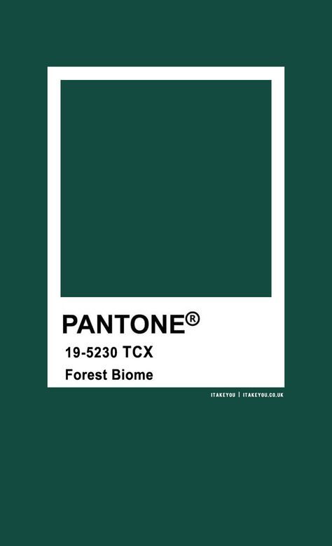 Pantone Color : Pantone Forest Biome Color I Take You | Wedding Readings | Wedding Ideas | Wedding Dresses | Wedding Theme Forest Green Pantone, Wedding Colour Combinations, Wedding Colour Theme, Green Pantone, Forest Biome, Pantone Green, Nude Color Palette, Henna Color, Deep Winter Colors