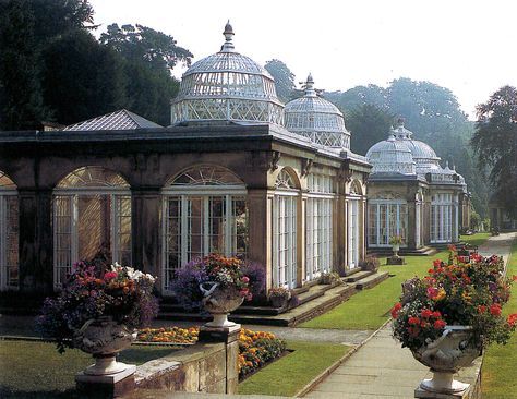 Orangery Conservatory, Victorian Greenhouses, Atrium Design, Villa Exterior, Glass Houses, Old Mansion, Sunrooms, Beautiful Beautiful, Garden Structures