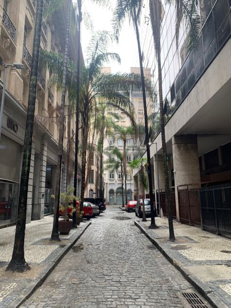 Plumeria Pudica, Foto Fake, Street Design, Travel Goals, Rio De Janeiro, Life Is Good, Architecture Design, Brazil, Bali