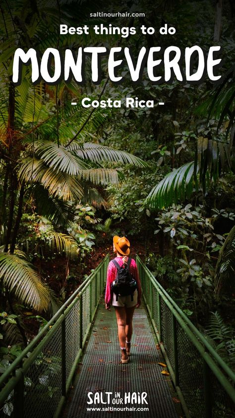 Monteverde Costa Rica Cloud Forest, Cloud Forest Costa Rica, Costa Rica Aesthetic, Costa Rica Pictures, Rica Aesthetic, Costa Rica Photography, Monteverde Cloud Forest, Monteverde Costa Rica, San Jose Airport