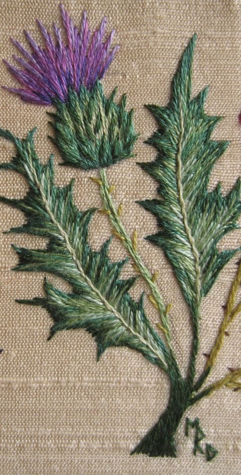 Margaret Dier Embroidery: Thistle. Crewel Embroidery Patterns, Crewel Embroidery Kits, Hardanger Embroidery, Pola Sulam, Learn Embroidery, Embroidery Patterns Vintage, Brazilian Embroidery, 자수 디자인, Silk Ribbon Embroidery