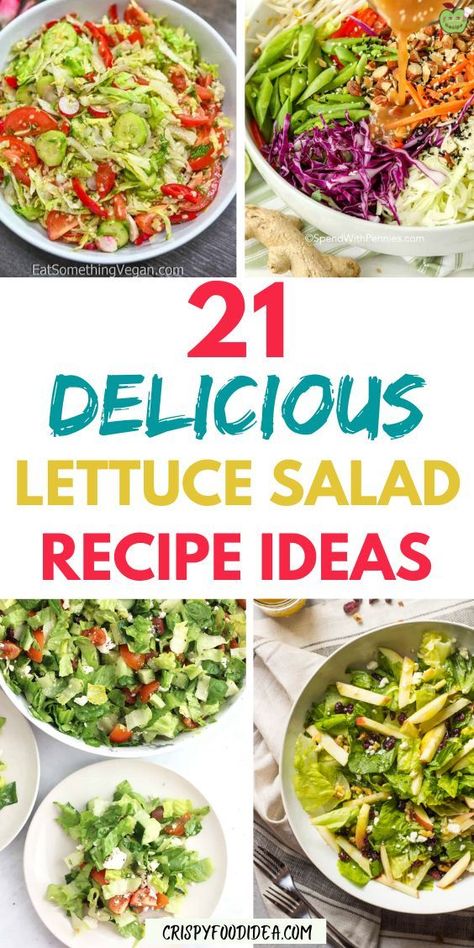 Here you get some lettuce salad ideas that are best for salad. Salad Recipes Simple, Lettuce Salads, Lettuce Vegetable, Best Summer Salads, Lettuce Salad Recipes, Counting Carbs, Salad Dressing Recipes Homemade, Healthy Recipes For Diabetics, Salad Dishes