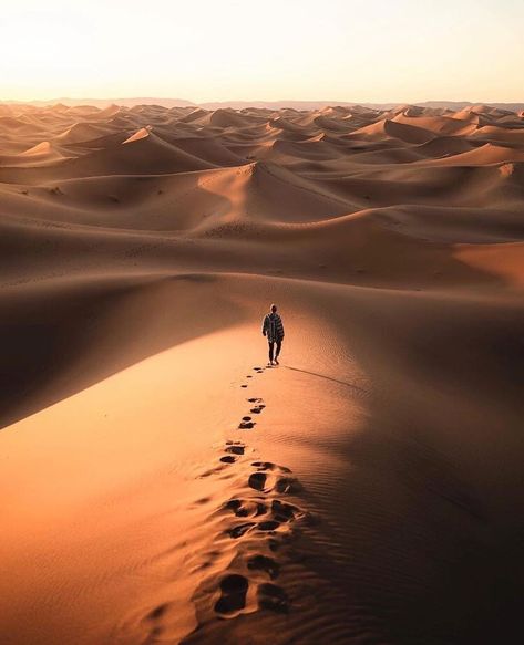 Roaming the endless desert 🌵 Tag a friend who needs to see this! ‣ You have an epic photo or a video to share? Why not use the hashtag… The Desert, The Sun, Walking, Sun