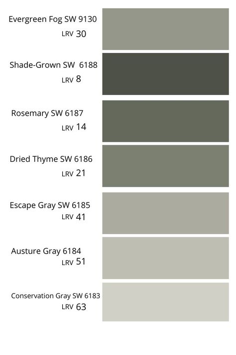 Evergreen Fog Family Room, Fox Hall Green Sherwin Williams, Evergreen Fog Room, Evergreen Fog Shutters, Evergreen Fog Vs Dried Thyme, Evergreen Fog Living Room Ideas, Evergreen Fog Sherwin Williams Exterior, Sw Contented, Evergreen Fog Bathroom