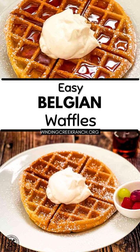 Whip up a batch of golden, crispy-on-the-outside, fluffy-on-the-inside Belgian waffles with this simple recipe. Perfect for lazy weekend mornings or a special brunch, these waffles come together in no time. Serve with your favorite toppings for a delightful meal that's sure to impress. Enjoy restaurant-quality waffles without leaving your kitchen! Best Waffle Recipe Belgium, Home Made Waffles Recipe, Ihop Waffle Recipe Copycat, Crispy Waffles Recipe, Waffle Recipe Without Butter, Home Made Waffles Recipe Easy, Ihop Waffle Recipe, Best Waffle Recipe Homemade, Belgian Waffle Iron Recipes