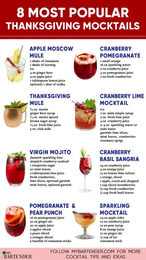 Thanksgiving Recipes Drinks, Mint Simple Syrup, Thanksgiving Menu Ideas, Traditional Thanksgiving, Thanksgiving Drinks, Mocktail Recipes, Thanksgiving Cocktails, Drink Recipes Nonalcoholic, Mixed Drinks Recipes