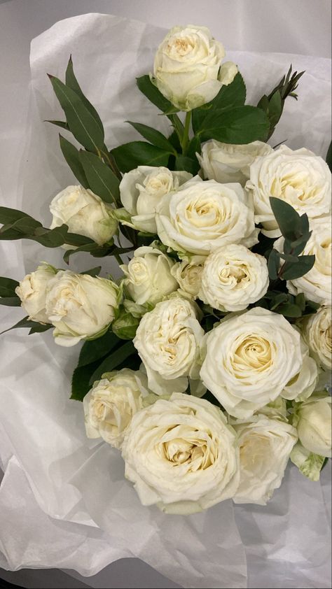 Mystery Wedding, Cabbage Rose Bouquet, White Roses Bouquet, Bouquet Rose, Instagram Flowers, Cabbage Rose, Roses Bouquet, Cabbage Roses, Rose Bouquet