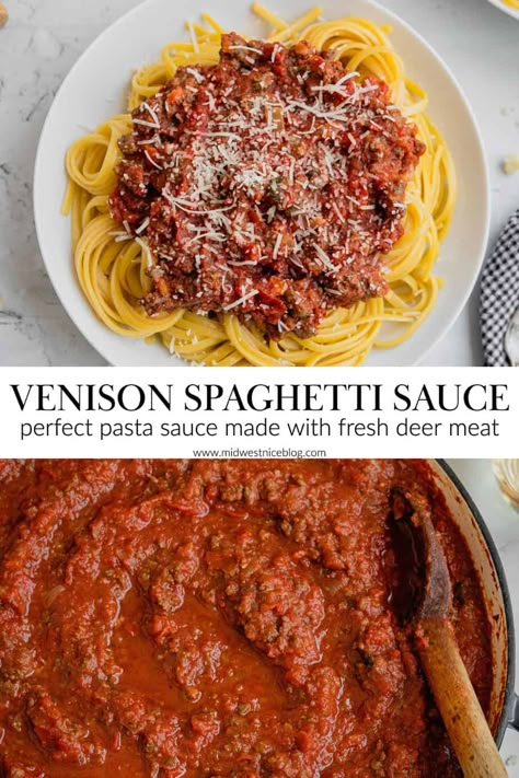 Venison Spaghetti, Elk Meat Recipes, Ground Venison Recipes, Meat Sauce Recipe, Homemade Spaghetti Sauce Recipe, Venison Meat, Sauce For Pasta, Deer Recipes, Ground Venison