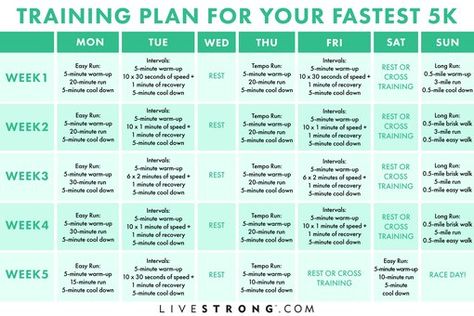 How to Train for a Faster 5K | Livestrong.com 5k Training Plan Intermediate, Cross Country Training Plan, Faster 5k Training Plan, Runner Exercises, 5k Training Schedule, Running Training Plan, 5k Training Plan, Faster Runner, Tempo Run