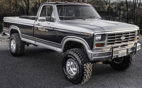 Ford Bullnose, 80s Ford Trucks, 1986 Ford F150, Bullnose Ford, Truck Interior Accessories, Big Ford Trucks, Single Cab Trucks, Ford Trucks F150, Custom Pickup Trucks