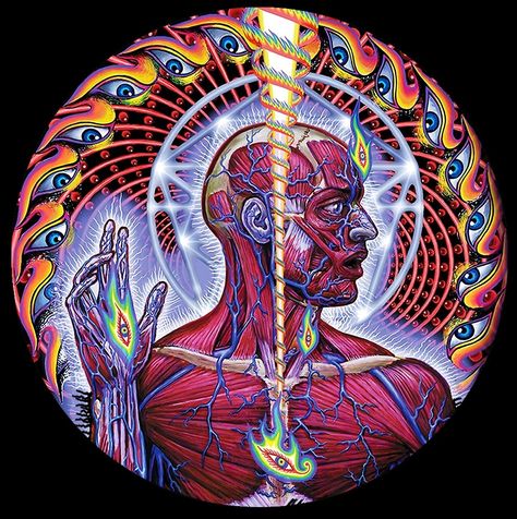 Tool Lateralus, Tool Band Art, Tool Band Artwork, Tool Artwork, Alex Gray Art, Black And White Tattoo, Grey Artwork, Alchemy Art, Alex Grey