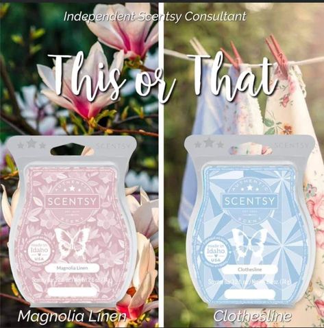 Scentsy Wax Bars, Scentsy Consultant Ideas, Scentsy Business, Scentsy Bars, Scentsy Consultant, Clothes Line, Smell Good, Magnolia, Wax