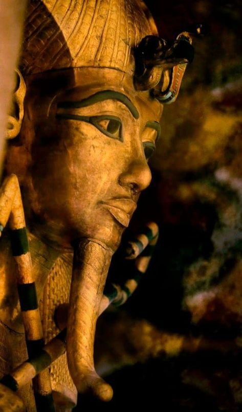 Sarcophagus Art, Tutankhamun Tomb, King Tut Sarcophagus, King Of Egypt, King Tutankhamun, Ancient Egypt History, Egypt Tattoo, Egyptian Kings, Egyptian Artifacts