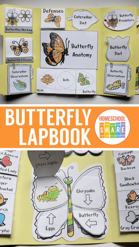 Butterfly Homeschool Unit, Butterfly Unit Study Kindergarten, Free Butterfly Unit Study, Free Lapbooks Printables, Kindergarten Lapbooks, Weather Lapbook, Lapbooks Free, Butterfly Unit Study, Homeschool Lapbooks