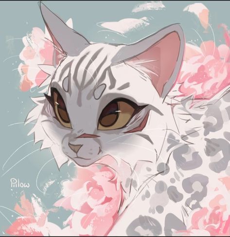 Warrior Cats Fan Art Beautiful, Warrior Cat Oc Design Ideas, Warrior Cat Fanart, Graypillow Art, Cute Sketch, Warrior Cats Comics, Warrior Cats Books, Grey Pillow, Gray Pillow