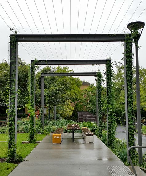 Foley Rest Park, cable trellis | Tensile Design & Construct Cable Trellis, Cheap Pergola, Pergola Swing, Green Facade, Modern Pergola, Metal Pergola, Garden Vines, Casa Country, Wooden Pergola