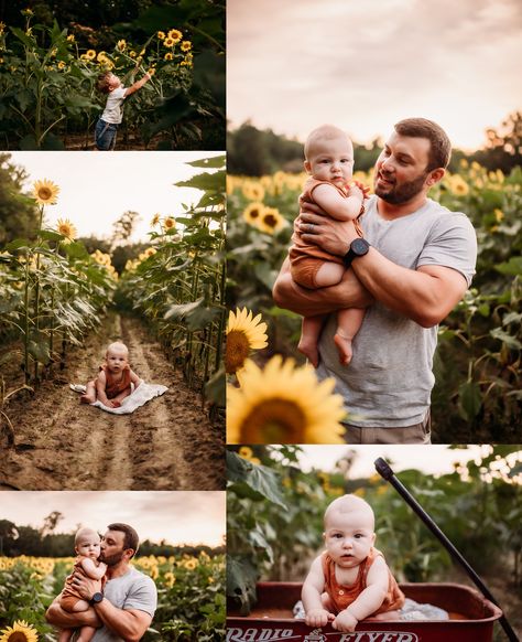 One Year Sunflower Photoshoot, Newborn Sunflower Field Pictures, Sunflower 6 Month Pictures, Sunflower Patch Family Pictures, Family Sunflower Photos, Sunflower Photo Session, Outfits For Sunflower Field Pictures Family, Infant Sunflower Photoshoot, Sunflower Minis Photography