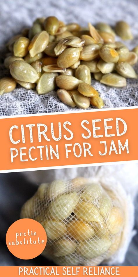 Natural Pectin For Jam, How To Make Pectin, Pectin Substitute, Diy Pectin, Jam Recipes No Pectin, Homemade Pectin, Pectin Recipes, Home Canning Recipes, Canning Food Preservation