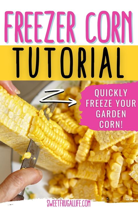 How To Freeze Fresh Corn - Sweet Frugal Life Frozen Sweet Corn Recipe, Freezing Corn On The Cob, Freezing Produce, Corn Garden, Freezing Fresh Corn, Freezing Corn, Sweet Corn Recipes, Freezing Vegetables, Canning Vegetables