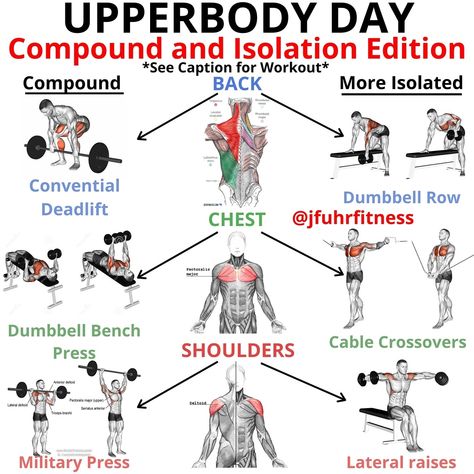 Upper Body Workout Men, At Home Dumbbell Workout, Upper Body Weight Workout, Model Workout Plan, Dumbbell Full Body Workout, Effective Full Body Workout, Home Dumbbell Workout, Upper Body Home Workout, Body Weight Hiit