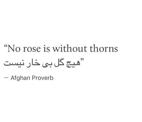 Farsi Tattoo, Forearm Tattoo Quotes, Arabic Quotes With Translation, Rose Quotes, Meaningful Tattoo Quotes, Arabic English Quotes, Arabic Quote, Arabic Tattoo Quotes, Persian Quotes