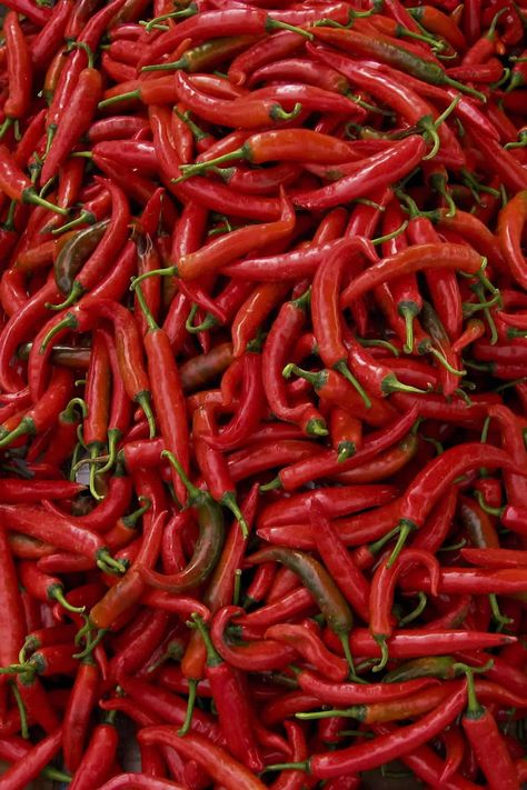 Thai peppers are spicy chili peppers with a wide range of heat, and despite common belief, there is no single type of Thai pepper, with at least 79 separate varieties. Scoville Heat Units: 50,000 - 100,000 SHU Capsicum Annuum Despite what is commonly believed, there is no single 'Thai pepper' though most peppers referred to as Thai are small in size and high in heat or pungency. There are at least 79 separate varieties of the pepper that have appeared from three species in Thailand. As with many Thai Peppers, Thai Chili Pepper, Types Of Peppers, Capsicum Annuum, Red Chili Peppers, Hot Pepper Sauce, Chile Pepper, Hottest Chili Pepper, Spicy Chili