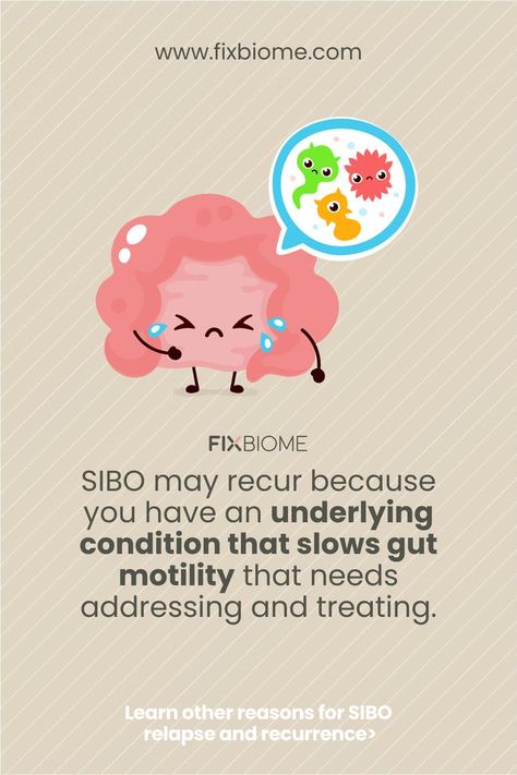 SIBO may recur because you have an underlying condition that slows gut motility that needs addressing and treating. Gut Motility, Small Intestine Bacterial Overgrowth, Gut Healing, Leaky Gut, Low Fodmap, Family Health, Digestive Health, Gut Health, First Time