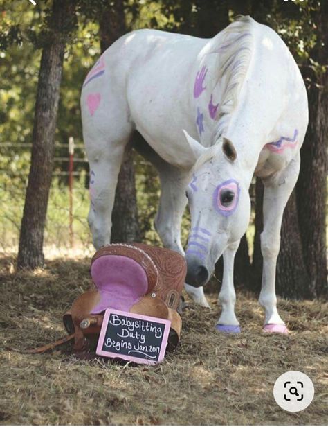 Horse Baby Announcement, Baby Announcement With Horse, Horse Pregnancy Announcement, Horse Gender Reveal Ideas, Horse Gender Reveal, Western Baby Announcement Ideas, Country Baby Announcement, Gender Reveal Baby Shower Themes, Fun Baby Announcement