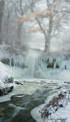 What’s the Difference ||| Source of Inspiration I Love Snow, Winter Szenen, Winter's Tale, Winter Magic, Winter Scenery, Winter Beauty, Snow Scenes, Winter Pictures, Winter Wonder