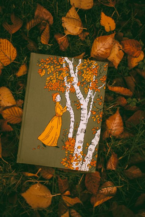 Anne Of Avonlea, A Clothes Horse, Book Photography Instagram, Autumn Illustration, Autumn Magic, Still Life Photos, Beautiful Book Covers, Dress Cottagecore, Cottagecore Dress