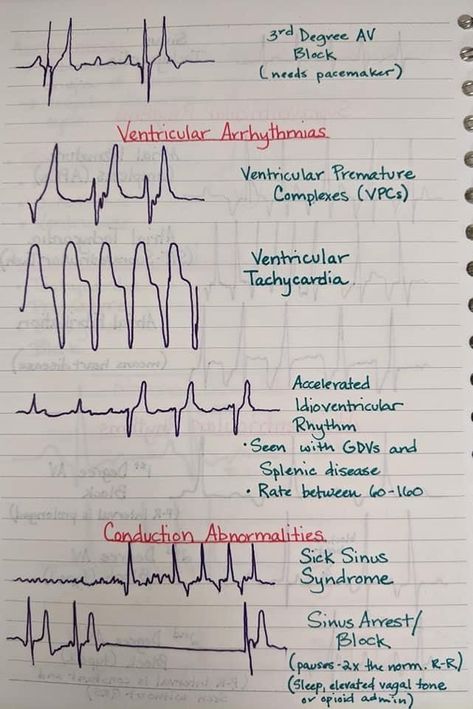 Veterinarian Notes, Kennel Assistant, Vet Tech Notes, Veterinary Technician Student, Veterinary Medicine Student, Vet School Motivation, Vet Tech Humor, Notes For Friends, Vet Tech School