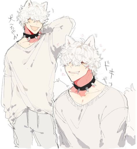 Pet Anime, Wolf Hybrid, Hybrid Art, Anime Male, Roleplay Characters, Boy Drawing, Boy Character, Character Design Male