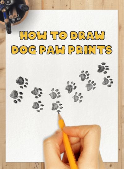 Drawing Paw Prints, How To Paint Paw Prints, Dog Journaling Ideas, How To Draw Paw Prints Dogs, How To Draw Paw Prints, How To Draw Dog Paws, How To Draw A Paw Print, Dog Paw Print Drawing, Dog Paws Drawing