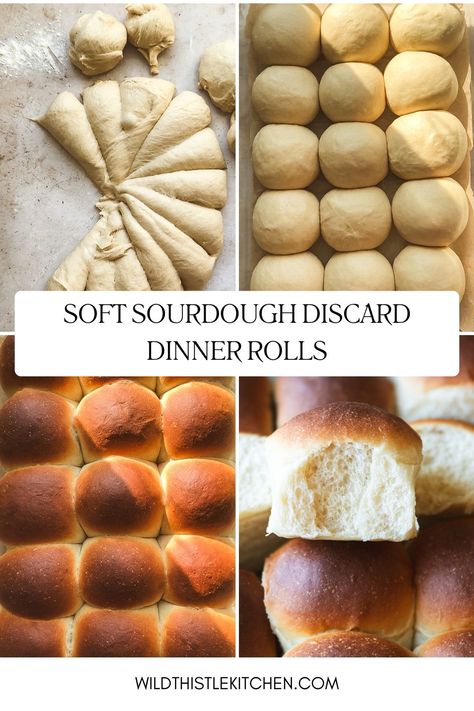 These Sourdough Discard Dinner Rolls are soft and fluffy and such a great way to use up that sourdough discard. No holiday is complete without a few baskets of these. I promise you they will be the first thing to disappear so be sure to make at least a double batch! #sourdoughdiscarddinnerrolls #sourdoughdiscardrolls Discard Sourdough Dinner Rolls, Sourdough Discard Pot Pie Crust, Sourdough Discard Turkey Gravy, Soft Sourdough Discard Rolls, Easy Sourdough Discard Rolls, Soir Dough Discard Recipes, Quick Sourdough Discard Rolls, Quick Sourdough Discard Dinner Rolls, Sourdough Discard Thanksgiving