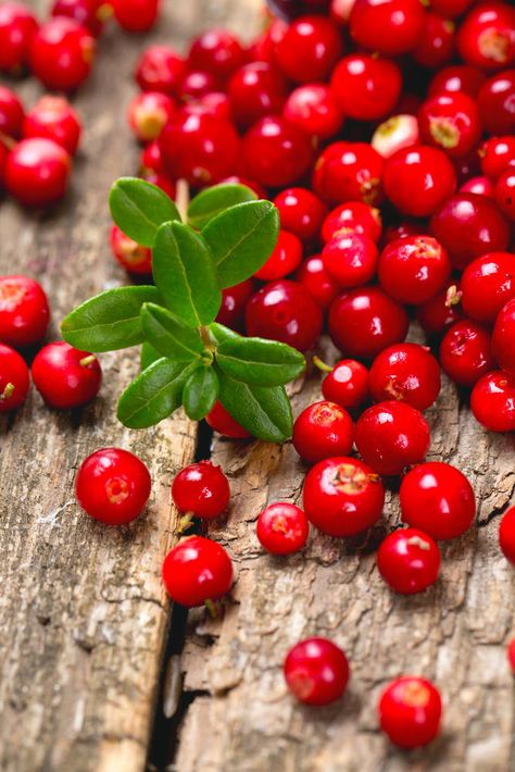 Lingonberries. Types Of Berries, Heal Thyself, Berry Cake, Beautiful Fruits, Exotic Fruit, Fruits And Veggies, Natural Healing, Fruits And Vegetables, Fresh Fruit